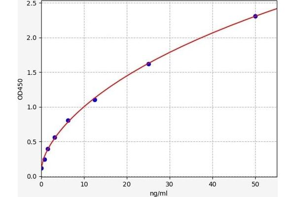 TNFRSF8 ELISA Kit