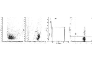 Image no. 1 for anti-Interferon gamma (IFNG) antibody (APC) (ABIN1107655) (Interferon gamma antibody  (APC))