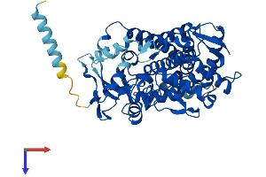 AlphaFold protein structure predicition of Mouse Recombinant Cyp2b19 Protein, UniprotID O55071 (CYP2B19 Protein (AA 1-492) (His tag))