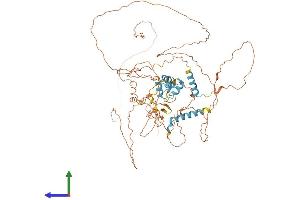 AlphaFold protein structure predicition of Human Recombinant FBXO34 Protein, UniprotID Q9NWN3
