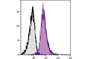 BALB/c mouse splenocytes were stained with Rat Anti-Mouse CD11a-PE/CY7. (ITGAL antibody)