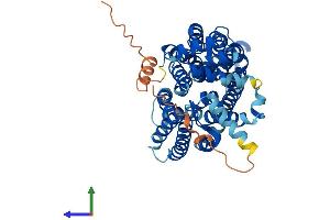 AlphaFold protein structure predicition of Human Recombinant SLC2A14 Protein, UniprotID Q8TDB8