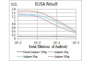 Black line: Control Antigen (100 ng), Purple line: Antigen(10 ng), Blue line: Antigen (50 ng), Red line: Antigen (100 ng), (SSH1 antibody  (AA 1032-1044))