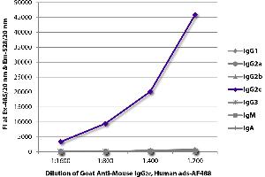 FLISA plate was coated with purified mouse IgG1, IgG2a, IgG2b, IgG2c, IgG3, IgM, and IgA. (Goat anti-Mouse IgG2c (Heavy Chain) Antibody)