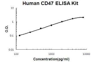 Human CD47 PicoKine ELISA Kit standard curve (CD47 ELISA Kit)