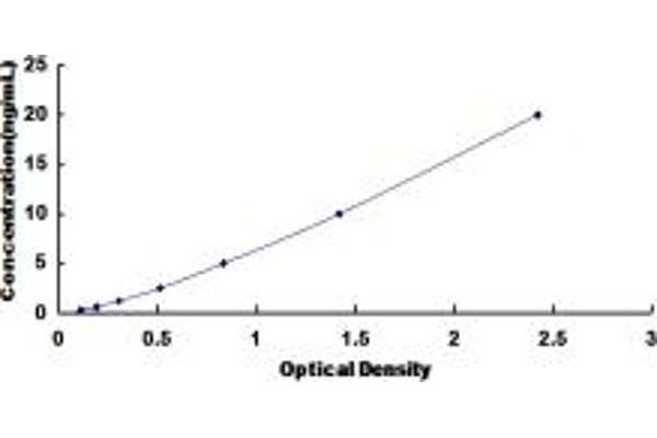 TLR1 ELISA Kit