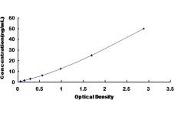 MC5 Receptor ELISA Kit