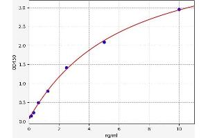 CXCR2 ELISA Kit