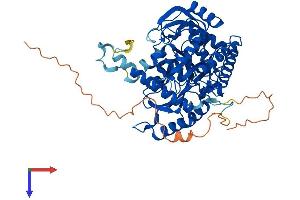 SPTLC2 Protein (AA 1-562) (His tag)