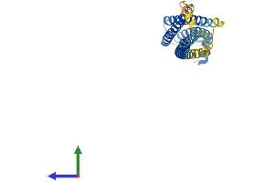Protein Structure (PS) image for Syntaxin 2 (STX2) (AA 1-288) protein (His tag) (ABIN7546403)