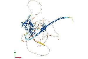 AlphaFold protein structure predicition of Human Recombinant CCAR2 Protein, UniprotID Q8N163
