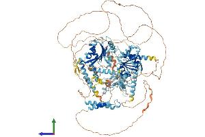 AlphaFold protein structure predicition of Mouse Recombinant Ttf2 Protein, UniprotID Q5NC05