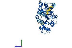 AlphaFold protein structure predicition of Human Recombinant GNAQ Protein, UniprotID P50148 (GNAQ Protein (AA 1-359) (His tag))