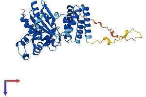 AlphaFold protein structure predicition of Mouse Recombinant Tent5c Protein, UniprotID Q5SSF7 (FAM46C Protein (AA 1-391) (His tag))