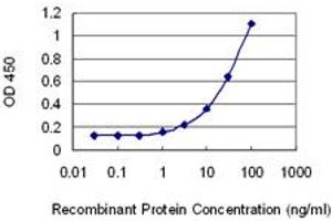 Detection limit for recombinant GST tagged DGAT2 is 0. (DGAT2 antibody  (AA 289-388))