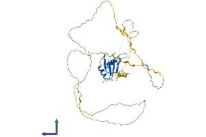 Protein Structure (PS) image for RNA Binding Motif Protein, X-Linked-Like 1 (RBMXL1) (AA 1-388) protein (His tag) (ABIN7559995)