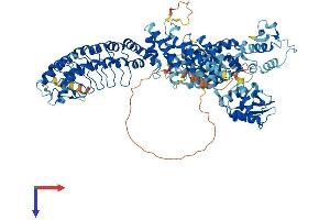 HACE1 Protein (AA 1-909) (His tag)