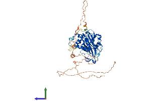 AlphaFold protein structure predicition of Human Recombinant USP17L2 Protein, UniprotID Q6R6M4 (USP17L2 Protein (AA 1-530) (His tag))