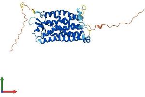 AlphaFold protein structure predicition of Mouse Recombinant C5ar1 Protein, UniprotID P30993 (C5AR1 Protein (AA 1-351) (His tag))
