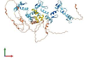 AlphaFold protein structure predicition of Human Recombinant ZNF416 Protein, UniprotID Q9BWM5