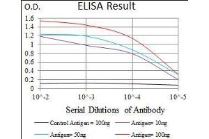 Black line: Control Antigen (100 ng), Purple line: Antigen(10 ng), Blue line: Antigen (50 ng), Red line: Antigen (100 ng), (DNAL4 antibody  (AA 1-105))