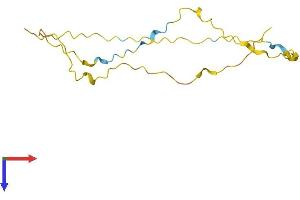 AlphaFold protein structure predicition of Human Recombinant CSNK1G2-AS1 Protein, UniprotID Q8NCQ2