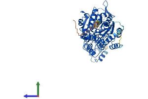 AlphaFold protein structure predicition of Human Recombinant GLYCTK Protein, UniprotID Q8IVS8 (GLYCTK Protein (AA 1-523) (His tag))