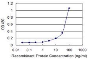 Detection limit for recombinant GST tagged ERBB2 is 1 ng/ml as a capture antibody. (ErbB2/Her2 antibody  (AA 22-121))