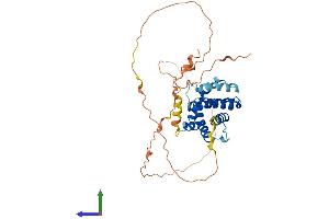 AlphaFold protein structure predicition of Human Recombinant MCL1 Protein, UniprotID Q07820