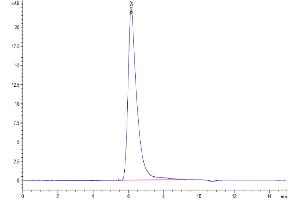 Size-exclusion chromatography-High Pressure Liquid Chromatography (SEC-HPLC) image for Selectin E (SELE) (AA 22-556) protein (Fc Tag) (ABIN7274571)