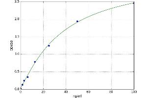 Nerve Growth Factor Receptor (NGFR) ELISA Kit
