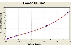 Diagramm of the ELISA kit to detect Human COL6alpha 1with the optical density on the x-axis and the concentration on the y-axis. (COL6A1 ELISA Kit)