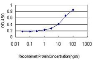 Detection limit for recombinant GST tagged MMP26 is approximately 1ng/ml as a capture antibody. (MMP26 antibody  (AA 152-261))