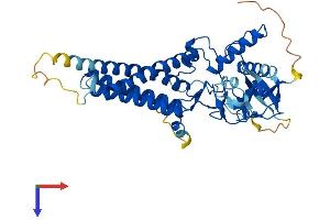 AlphaFold protein structure predicition of Human Recombinant ZDHHC6 Protein, UniprotID Q9H6R6