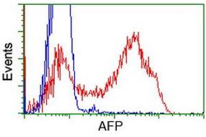 HEK293T cells transfected with either RC206622 overexpress plasmid (Red) or empty vector control plasmid (Blue) were immunostained by anti-AFP antibody (ABIN2452713), and then analyzed by flow cytometry. (alpha Fetoprotein antibody)