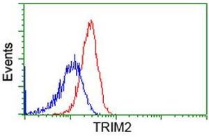 Flow cytometric Analysis of Hela cells, using anti-TRIM2 antibody (ABIN2453851), (Red), compared to a nonspecific negative control antibody, (Blue).