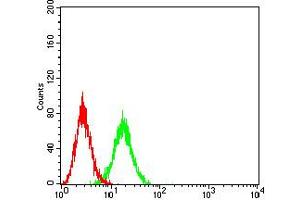 Flow cytometric analysis of Ramos cells using CD102 mouse mAb (green) and negative control (red). (ICAM2 antibody  (AA 25-223))
