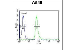 Flow cytometric analysis of A549 cells (right histogram) compared to a negative control cell (left histogram). (GNAT3 antibody  (AA 78-105))