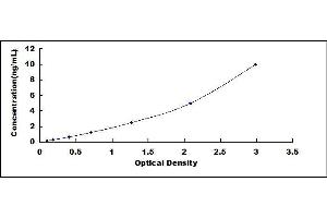 Typical standard curve (Caspase 3 ELISA Kit)