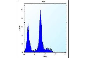 PDGFRA Antibody (C-term ) (ABIN392022 and ABIN2841798) flow cytometric analysis of  cells (right histogram) compared to a negative control cell (left histogram). (PDGFRA antibody  (C-Term))