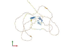 AlphaFold protein structure predicition of Human Recombinant C12orf50 Protein, UniprotID Q8NA57 (C12ORF50 Protein (AA 1-414) (His tag))