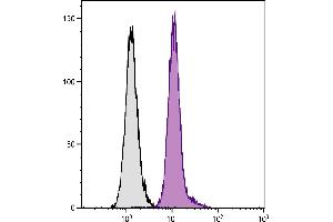 Human peripheral blood monocytes and granulocytes were stained with Mouse Anti-Human CD13-UNLB. (CD13 antibody)