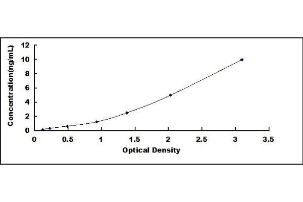 Utrophin ELISA Kit