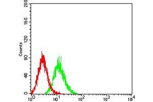 Flow Cytometry (FACS) image for anti-Aldolase A, Fructose-Bisphosphate (ALDOA) (AA 9-145) antibody (ABIN5611221)