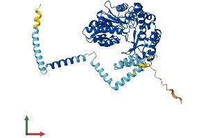 Protein Structure (PS) image for Sphingosine-1-Phosphate Lyase 1 (SGPL1) (AA 1-568) protein (His tag) (ABIN7546018)