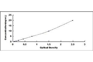 Typical standard curve (CSTA ELISA Kit)