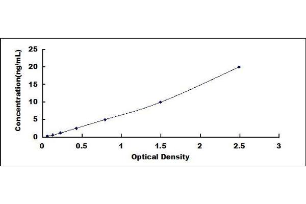 CSTA ELISA Kit