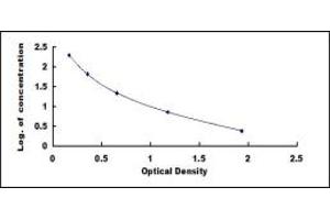 Cross Linked N-Telopeptide of Type I Collagen (NTX-I) ELISA Kit