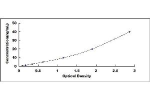 Typical standard curve (HSPB2 ELISA Kit)