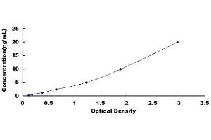 Typical standard curve (CD3D ELISA Kit)